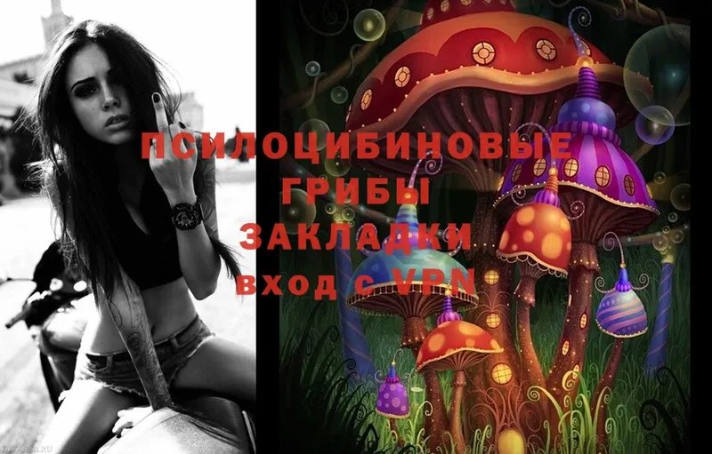 Галлюциногенные грибы MAGIC MUSHROOMS Кунгур